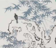 高云