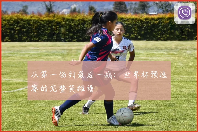 从第一场到最后一战：世界杯预选赛的完整英雄谱