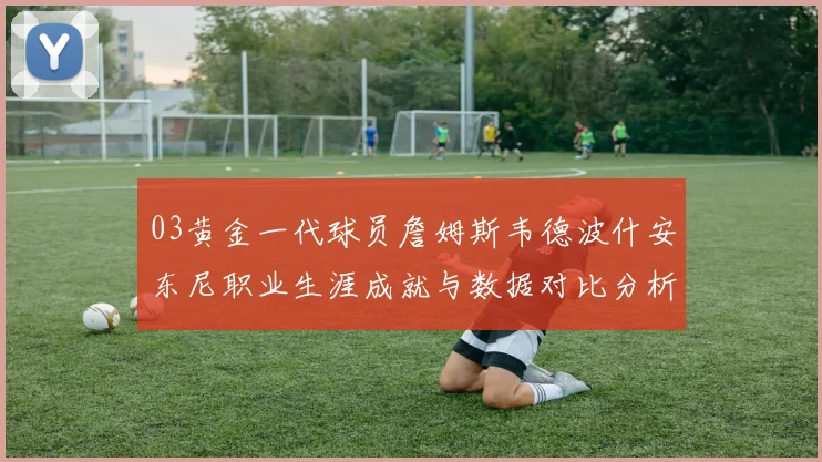03黄金一代球员詹姆斯韦德波什安东尼职业生涯成就与数据对比分析