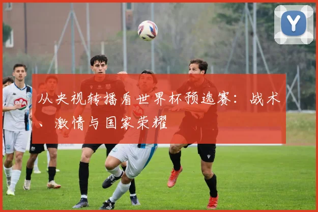 从央视转播看世界杯预选赛：战术、激情与国家荣耀