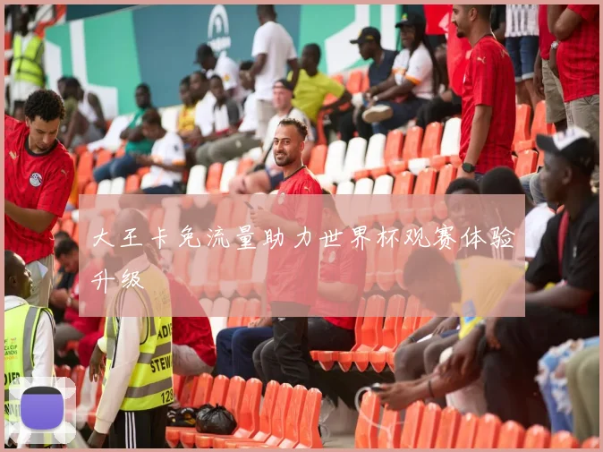 大王卡免流量助力世界杯观赛体验升级